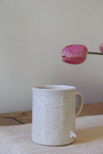 Load image into Gallery viewer, Penis Mug #024
