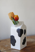 Load image into Gallery viewer, Milk Carton Vase
