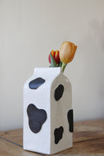 Load image into Gallery viewer, Milk Carton Vase
